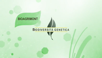 filmato Biodiversità genetica - Progetto Bioagrimont – Valorizzazione della razza bovina Rendena – H. Hauffe, Fondazione E. Mach - a cura dell'Ufficio stampa PAT