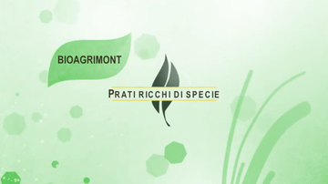 filmato Prati ricchi di specie - Progetto Bioagrimont – I prati ricchi di specie – A. Bertolli, Museo Civico di Rovereto - a cura dell'Ufficio stampa PAT