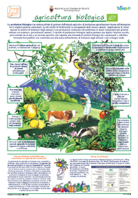 Poster agricoltura biologica - edizione 2012