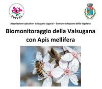 10 maggio, Biomonitoraggio della Valsugana con Apis mellifera