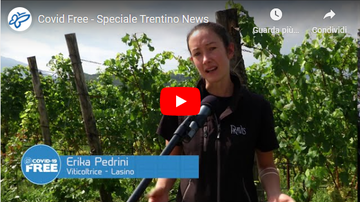 Covid Free  Speciale Trentino News in onda una nuova puntata