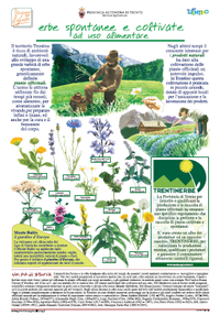 Poster erbe spontanee e coltivate ad uso alimentare - edizione 2012 