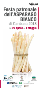 dal 27 aprile al 1 maggio 2018 - Festa patronale dell'asparago bianco