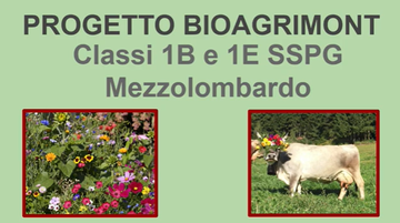 Filmato: Grigio Alpina – progetto Bioagrimont – scuola secondaria di primo grado Mezzolombardo -1B e 1E SSPG