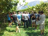 incontro tecnico sulla viticoltura biologica