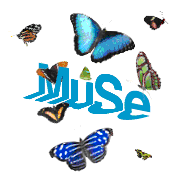 L'oasi delle farfalle - MUSE