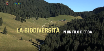 La biodiversità in un filo d'erba - Biodiversità alimentare - MIPAFF - PAT - filmato (immagini archivio PAT e Trentino Marketing)