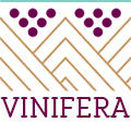 logo_vinifera_no_st
