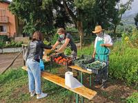 “Mi coltivo”: in Polo Meccatronica arriva l’orto sociale della cooperativa Villa Maria