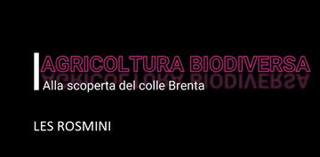 filmato: Progetto Bioagrimont Agricoltura biodiversa - Il colle di Brenta - Classe 4 a serale - LES Liceo Rosmini