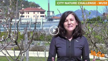 Trento aderisce alla “City Nature Challenge 2021”