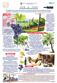 Poster uva e vino - edizione 2012