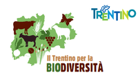 18, 19 e 20 maggio 2019, ritornano le giornate dedicate a "Il Trentino per la biodiversità"