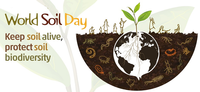 9 dicembre 2020: Giornata Mondiale del Suolo - dalle ore 17, incontro organizzato dal Servizio Sviluppo Sostenibile e Aree Protette della PAT (webinar)
