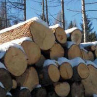 Aste di legname condizionate dal meteo