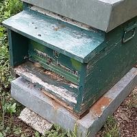 Aumenta il numero degli apicoltori nomadi. (foto n.e. - PAT)