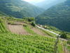 Bando per la viabilità agricola, prorogati i termini per le domande - Paesaggio agricolo in Trentino (Provincia autonoma di Trento)