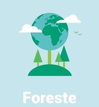 EVENTO: Formazione e incentivi economici a favore delle Imprese forestali