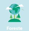 EVENTO: Formazione e incentivi economici a favore delle Imprese forestali