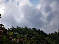 Forti piogge in arrivo. Allerta gialla della protezione civile - FOTO: Nuvole sopra Trento est - Giampaolo Pedrotti