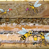 Illustrazione dell'interno di un'arnia, tratta dalla pubblicazione PAT "Dimmi ape"