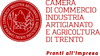 Logo Camera di Commercio di Trento, allegato al comunicato stampa del 7 agosto 2017