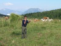 La carica dei 115 tirocinanti tra malga Juribello, malga Zochi e la Baviera. (foto Malga Zochi, allegata al comunicato stampa FEM del 14 agosto 2018)