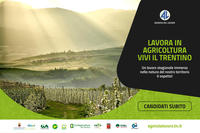 Lavoro in agricoltura, si possono ancora presentare candidature e richieste di personale - Locandina web "Lavora in agricoltura, vivi il Trentino"