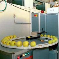 Controllo qualità mele, immagine tratta dalla rivista Terra Trentina n. 6_2011