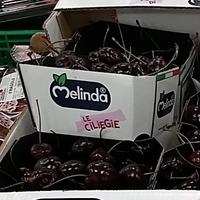 Melinda: stagione positiva per le ciliegie. (foto n.e. - PAT)