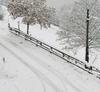 Meteotrentino: attesi oggi fino a 20 centimetri di neve sopra gli 800 metri-Neve sulle strade del Trentino [Archivio Ufficio stampa PAT]