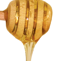 Miele, immagine tratta dalla pubblicazione PAT - Miele del Trentino