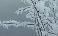 Ondata di freddo in arrivo sul Trentino. Comunicato stampa PAT n. 309 del 24 febbraio 2018
