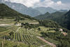Presentato l'Atlante dei paesaggi terrazzati del Trentino - Panoramica dei campi terrazzati di Brentonico [(Valentina Casalini - Archivio Osservatorio del Paesaggio)