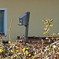 Casetta-nido uccellini, © foto n.e. PAT
