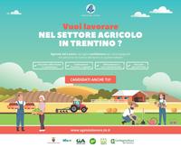 Vuoi lavorare nel settore agricolo in Trentino?
